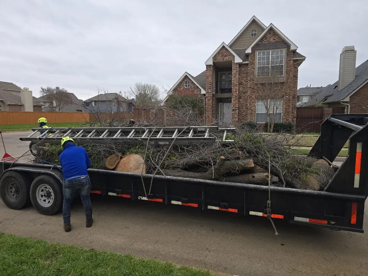 Expert Tree Fertilization with proper safety equipment in Mc Gee